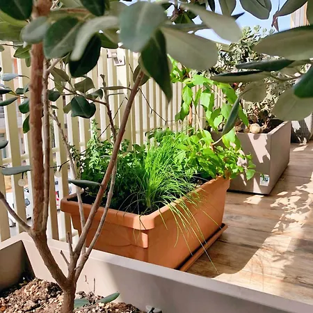 Rizzi Marianna Monopoli