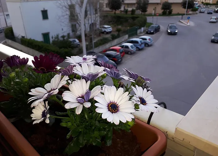 Rizzi Marianna Monopoli